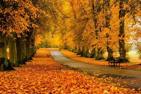 Prognoza meteo 18 noiembrie. Vreme mohorâtă și vânt puternic: temperaturile scad semnificativ. Unde va fi cel mai frig astăzi 