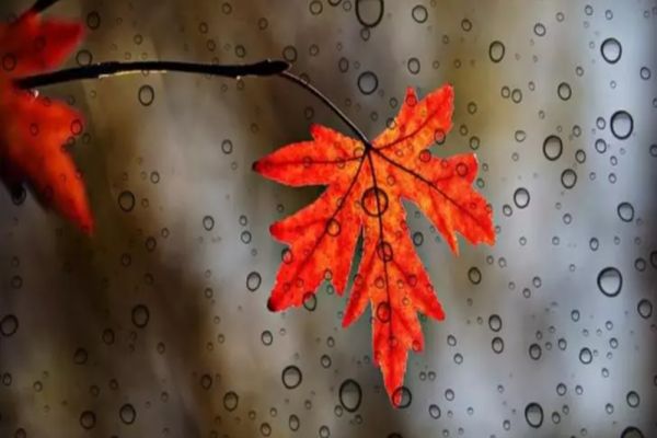 VREMEA 26 SEPTEMBRIE. VREME RECE, AVERSE LOCALE ȘI INTENSIFICĂRI ALE VÂNTULUI 