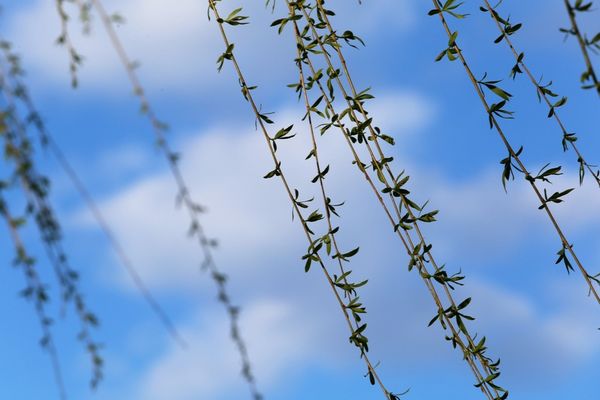 VREMEA 4 SEPTEMBRIE. TEMPERATURI ÎN UȘOARĂ SCĂDERE 