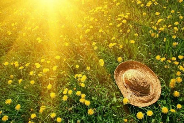 Cum va fi vremea în prima luna de vară din 2024