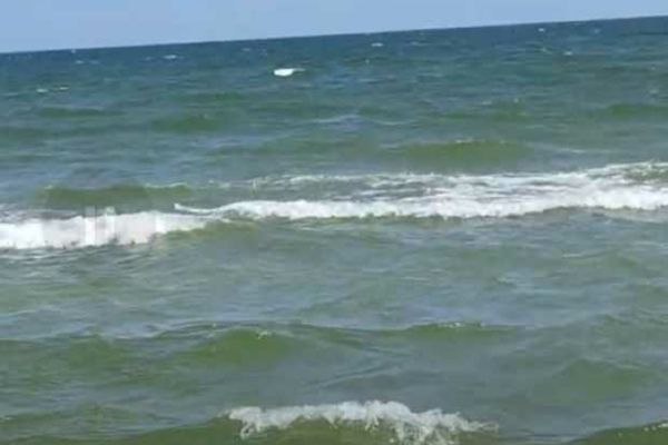 DSP CONSTANȚA A IDENTIFICAT E.COLI ÎN APA MĂRII NEGRE