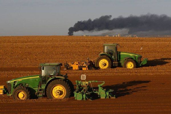 ROMÂNIA ÎȘI CEDEAZĂ PĂMÂNTUL: STRĂINII DEȚIN MII DE HECTARE AGRICOLE ÎN FIECARE JUDEȚ