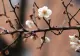 Prognoza meteo: Vreme mai caldă decât normalul perioadei în România