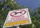 Limba noastră a fost o comoară. ''Virusul Dăncilă'' a ajuns la Zalău!