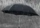 Meteorologii informează: ploi și vânt în toată țara