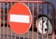 ''Întâlnirea Tinerilor Ortodocși din Mitropolia Clujului, Maramureșului și Sălajului'', organizată la Zalău, dă peste cap circulaţia din municipiu