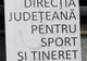 Finanțări nerambursabile pentru activități sportive în ''An Centenar''. Nouă asociații sportive din județ primesc 7.000 de lei pentru proiecte sportive