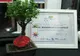 Asociația “Sprijin Independent pentru Spitalul Zalău”, printre premianţii Galei COPAC