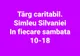 Târg caritabil în Şimleu Silvaniei