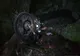 Accident cu o victimă încarcerată pe E 81 între localitățile Sutor și Sîncraiu. Se circulă pe o singură bandă