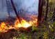 Atenţie la arderea vegetaţiei uscate! Şase incendii în câteva ore