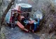 Tragedie într-o pădure din Nadiş. Un bărbat, strivit de tractorul pe care-l conducea