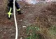 O colibă din livada Meseș, distrusă de flăcări