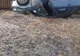 Accident la ieșire din Bobota. Autoturism, răsturnat în afara părții carosabile