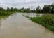 Cod portocaliu de inundații în Sălaj și Satu Mare