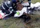 Păsări moarte într-un incendiu izbucnit într-o gospodărie din Crasna