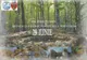 Invitație pentru zălăuani: ''Per pedes'' pe limes &amp; Brunch la Castrul Roman de la Porolissum