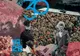 La Zalău, Festivalul de film documentar ''One World Romania''. Proiecţii de film cu intrarea liberă