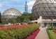 Artişti din ţară şi din străinătate se întâlnesc la Grădina Botanică din Jibou. Începe o nouă ediţie a Simpozionului Internaţional ''Arta în Grădină''