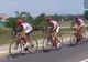 18 cicliști belgieni vor ajunge la Cehu Silvaniei. Pentru ce pedalează 1.000 de kilometri