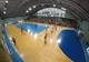 Handbal feminin: Astăzi, HC Zalău-Rapid București