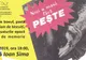 Vernisaj cu degustare la Galeria de Artă. Zălăuanii, aşteptaţi la deschiderea expoziţiei ''Nici o masă fără peşte''