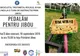 “Pedalăm pentru Jibou”, ediția a II-a