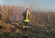 Trei hectare de porumb, mistuite de flăcări într-un incendiu la Băbeni