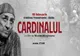 Premiera filmului "Cardinalul” – astăzi la Zalău