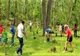 APIA primește cererile de plată a ajutorului de stat pentru împăduriri