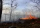  Incendiu de proporții într-o pădure apropierea localității Răstolț. Lupta pompierilor cu flăcările, mai multe ore 