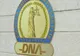 Cristina Trăilă, pusă oficial sub acuzare de DNA, în dosarul lui Fănel Bogos. Ce acuzații i se aduc