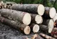 Ministrul Mediului anunță peste 200 de milioane de euro, fonduri europene, pentru industria lemnului