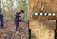 FOTO | Tezaur monetar descoperit de un pasionat de arheologie din Zalău! Monedele au fost emise acum aproximativ 500 de ani