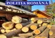 Un tânăr din Românaşi s-a ales cu dosar penal după ce a furat mai mulţi arbori