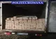Șofer din Cluj, amendat în Sălaj pentru transport ilegal de material lemnos! Polițiștii l-au lăsat și fără marfă