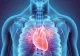Alimentul surprinzător recomandat de un cardiolog: „Este prietenul inimii”