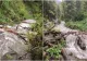 COD GALBEN DE VIITURI ŞI INUNDAŢII LOCALE ÎN TRANSILVANIA, MOLDOVA ŞI ZONA CARPAŢILOR DE CURBURĂ