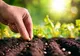 ZIUA INTERNAȚIONALĂ A SĂNĂTĂȚII PLANTELOR: UN SEMNAL DE ALARMĂ PENTRU MEDIU ȘI AGRICULTURĂ!