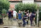 Bilanț IGSU: Viituri, inundații și trafic blocat pe DN1 în urma fenomenelor hidrometeorologice din 20 iulie 2026