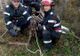 Câine căzut în fântână, salvat de pompieri