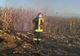 Trei hectare de porumb, mistuite de flăcări într-un incendiu la Băbeni