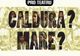 De 1 Decembrie: ''Căldură? Mare?'', un spectacol de divertisment pentru zălăuani