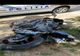 Accident grav în municipiu: Un motociclist și-a pierdut viața