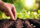 ZIUA INTERNAȚIONALĂ A SĂNĂTĂȚII PLANTELOR: UN SEMNAL DE ALARMĂ PENTRU MEDIU ȘI AGRICULTURĂ!