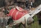 INDIA: CEL PUȚIN 279 DE MORȚI ÎN ACCIDENTUL AVIATIC DIN AHMEDABAD